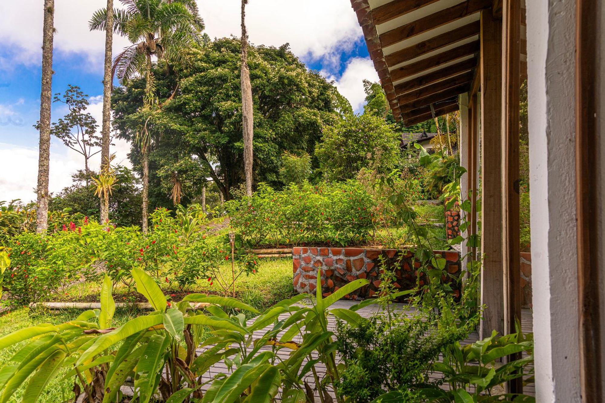 Aldea Sabatinga Villa Manizales Eksteriør billede