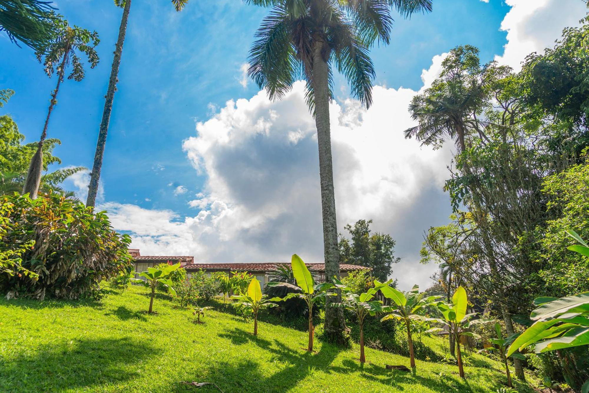 Aldea Sabatinga Villa Manizales Eksteriør billede